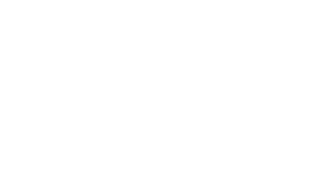 Dandenong Footer Logo